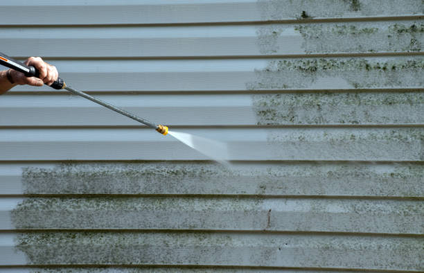 Best Roof Washing  in Morgan City, LA
