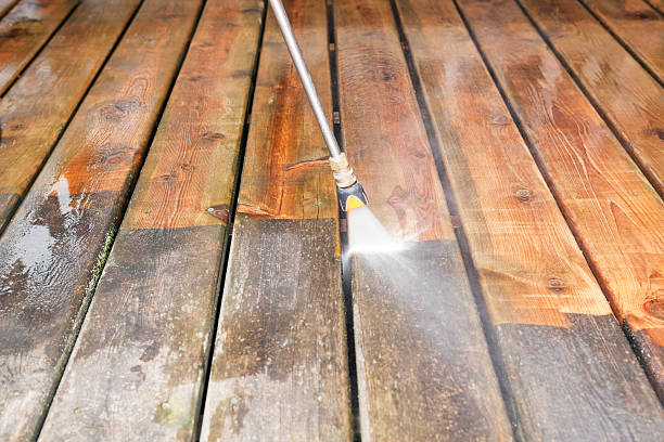 Animal Enclosure Cleaning in Morgan City, LA